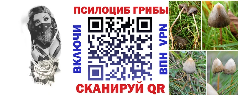 darknet телеграм  Мичуринск  Псилоцибиновые грибы Magic Shrooms  ссылка на мегу онион 