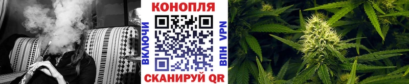 дарнет шоп  Мичуринск  ОМГ ОМГ ТОР  Канабис ГИДРОПОН 